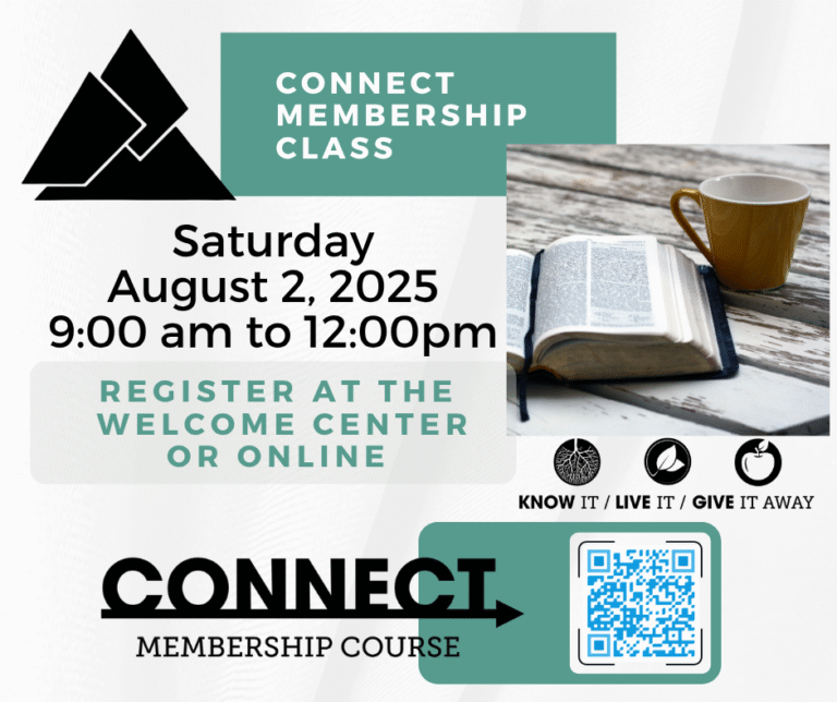 Connect Class 8.2 WB