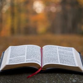 OpenBible