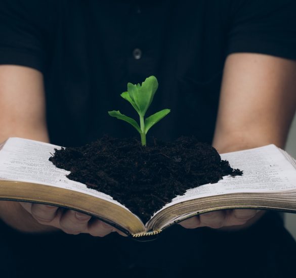 PlantBible